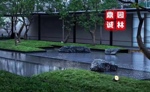 黑山石 庭院水景与枯山水的自然诗意设计
